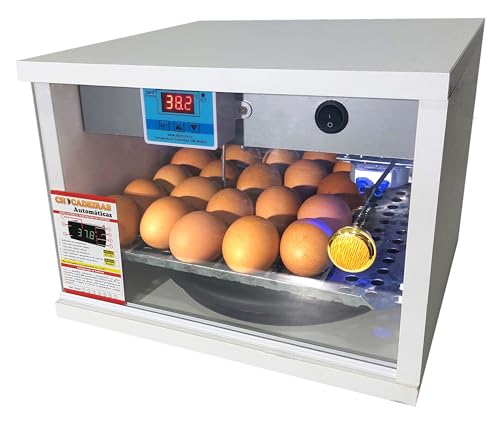 Chocadeira Automática 20 a 30 Ovos 110 Volts