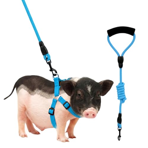 Image of Mini Pig Harness, Adjustable Small Pig Harness with Leash Infinity Style Lead and Soft Foam Handle for Small to Medium Pet Pigs Walking Training Jogging (Blue, L)
