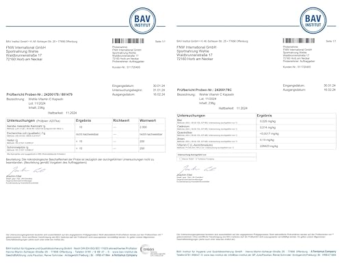 Vitamin C hochdosiert – 240 vegane Kapseln, 4-Monats-Vorrat, mit Acerola- und Hagebutten-Extrakt, 400mg Vitamin C pro Tagesdosis (2 Kapseln), laborgeprüft – Wehle Sports®