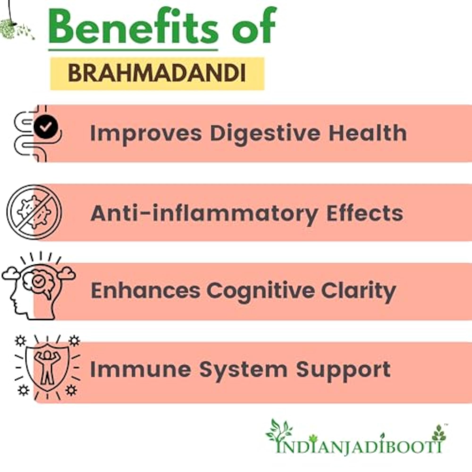 IndianJadiBooti Brahmadandi Herbal Powder, 900 Grams Pack