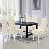 CYCMACO B0F7X1PRHW lato 2