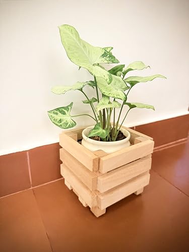 Traditional Indian Furniture Pieces 18 silaa Indoor Wooden Plant Stand for Plants/ Table top wooden plan...