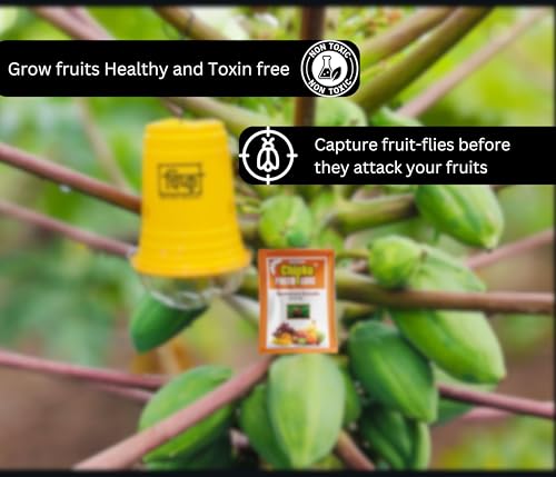Image of Chipku Bactocera Dorsalis Fruit Fly -Pack of 5 Outdoor Eco Pheromone Trap with Lure Useful in Mango, Papaya, Sapota, Guava, Pomegranate, Sweet Fruit Yellow