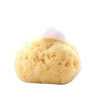 Amazon.co.jp: 天然海綿 スポンジ 地中海産 ハニコム種 100%天然