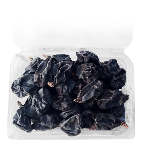 ぬまたブランド農産物 無添加 燻製ぶどう約50粒パック[藤稔〜ふじみのり〜] 1パック