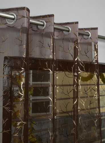 Image of Homefab India Multi Foil Transparent Sheer Curtain - 9 X 4 Feet, Long Door Curtains, Coffee, Pack of 2 Pieces
