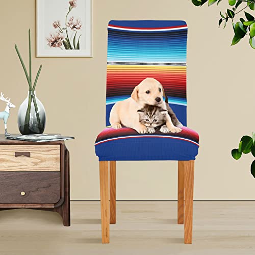 Xigua Mexican Serape Stripes Stretch Chair Covers Set Of 4 Removable Washable Dining Chair Slipcovers For Kitchen Dining Room Hotel Decor #TOP4