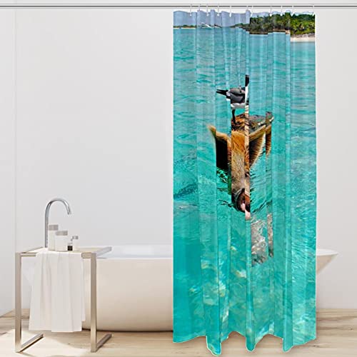 Rideau de douche cochon vert textile lavable avec crochets de fixation