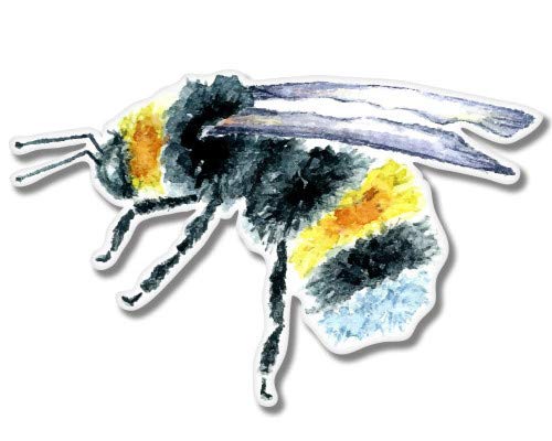 Bumble Bee Watercolor - 12