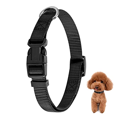 pets petsmart dog collar