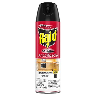Raid Fragrance Free Ant and Roach Killer, 17.5 oz Aerosol Can, 12/Carton (333822)