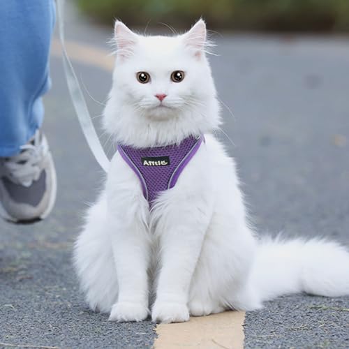 AIITLE Kleines Geschirr mit Leine - Hundeweste mit super atmungsaktivem Mesh, reflektierendes Welpengeschirr für Spaziergänge im Freien für kleine Hunde, Katzen Reines Lila XXS