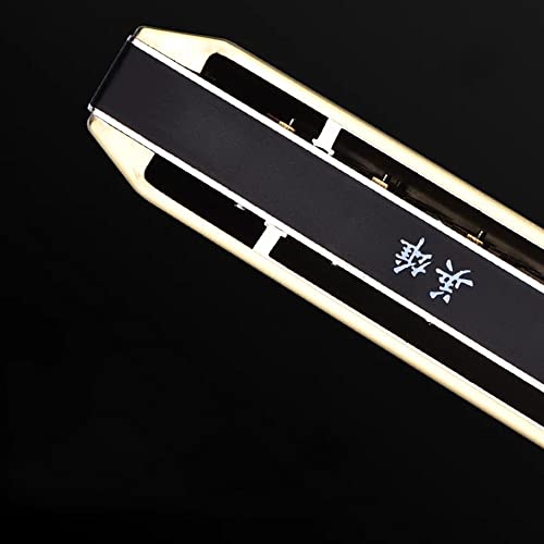 Harmonica Harmonica 12 et 16 orifices orgue C phosphore bronze anche instrument clé - Les Beatles, Paul McCartney, John Lennon, RIngo Starr, George Harrison Harmonica Harmonica 12 et 16 orifices orgue C phosphore bronze anche instrument clé – Image 5