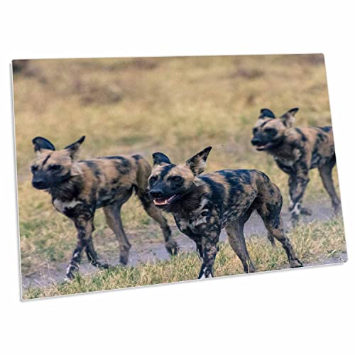 3dRose Botswana. Okavango Delta. Khwai Concession. Pack de desk pad