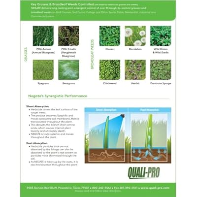 Quali-Pro Negate 37WG Herbicide