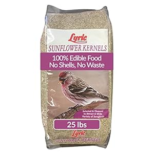 Lyric Sunflower Kernels Wild Bird Seed No Waste Bird Food Attracts Finches & More 25 lb. bag