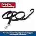 Coastal Pet Circle T Oak Tanned Leather Dog Leash - Durable Pet Accessory Perfect for Training - Comfortable Tool for Puppies & Dogs Made from Full-Grain Material - Tan, 3/8
