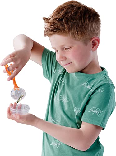 Image of SES Creative 25116 Insect Explorer