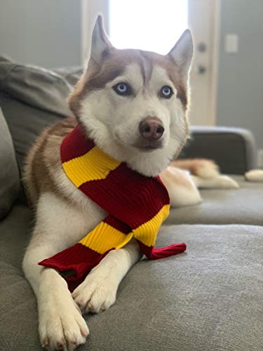 Comfycamper Red Yellow Striped Scarf Dog Costume - X Large Medium Small French Lab Clothes Cosplay Halloween Costumes, L, Red #TOP2