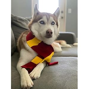 ComfyCamper Red Yellow Striped Scarf Dog Costume - X Large Medium Small French Lab Clothes Cosplay Halloween Costumes, S, Red ComfyCamper Red Yellow Striped Scarf Dog Costume – X Large Medium Small French Lab Clothes Cosplay Halloween Costumes, S, Red