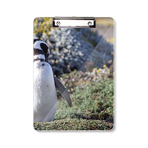 Porte-bloc A4 avec motif manchot Spheniscidae plaque ultra-rigide