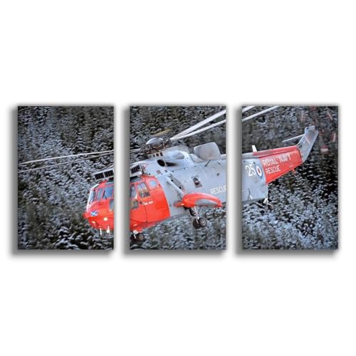 Toile Royal Helicopters Aviation de qualité supérieure pour une décoration chic