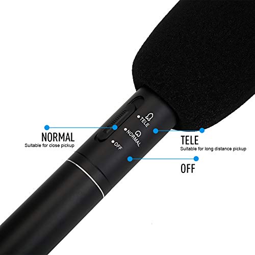 Vendite Pazze Microfono Professionale per