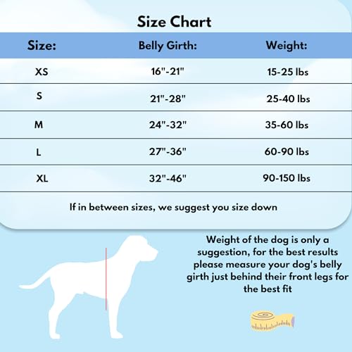 ShawnCo Dream Walk No-Pull Dog Harness- Adjustable, Comfortable, Easy to Use Pet Halter to Help Stop Pulling for Small, Medium and Large Dogs (Orchid, L)