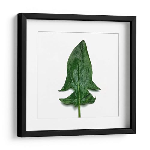 Canvas Lab | Spinach by Chef Capellini | 19 x