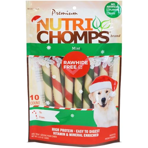 NutriChomps Dog Chews, 5 inch Twists, Mint Flavor, 10 Count, Easy to Digest, Rawhide Free, Holiday Stocking Stuffer Treats, Christmas Gift for Dogs