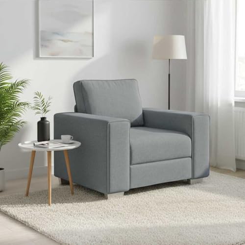 sephironlbb Sillón de sofá de tela gris claro de 100 cm con diseño transpirable, cómodos reposabrazos, marco de metal resistente, ideal para salón, salón y habitación de invitados con acolchado