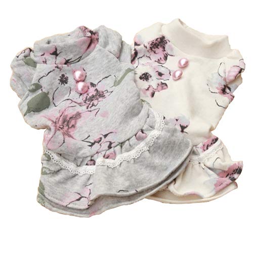 ykamakuradog qhbOzp[[s[X   ptX[u ԕ (O[, XL)