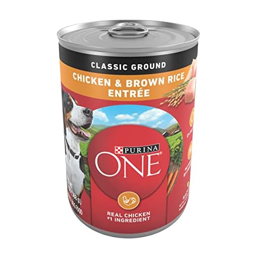 Purina ONE Classic Ground Chicken and Brown Rice Entree Adult Wet Dog Food - (Pack of 12) 13 oz. Cans