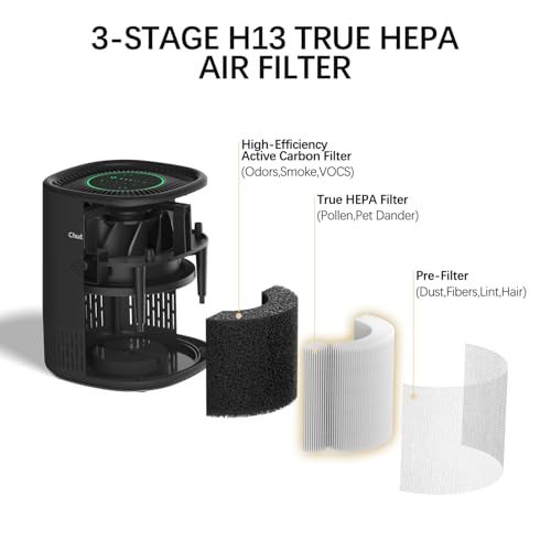 Air Purifier for Home H13 True HEPA Filter with 3-Layer Filtration — view 5