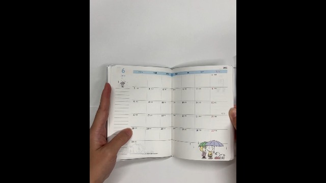 DAILY PAPER 2512028GARDENIA 関税送料込 Amazon.co.jp: カミオジャパン スヌーピー 手帳 2025年 A6