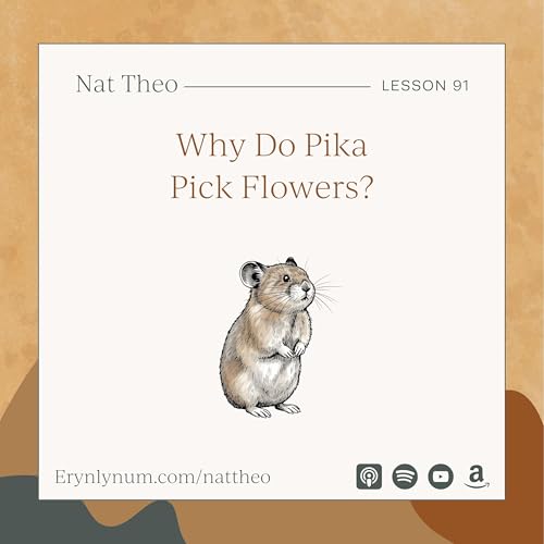 Why Do Pika Pick Flowers? Lesson 91 Podcast Por arte de portada