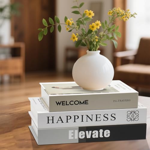 Image of Decorative Books - Set of 3 Fake Books with Hidden Storage, Faux Book for Coffee Table, Bookshelf & Home Decor, Modern Office Decor Book for Organizing & Gift Ideas