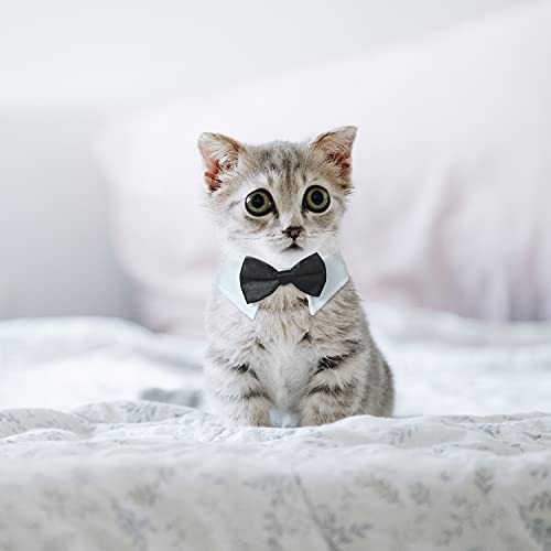 Image of Cat Tuxedo, KOOLMOX Black Cat Bow Tie Sewed with Handcrafted Adjustable White Collar for Formal Pet, Male Cat Collar for Small Puppy Boy Dog Collars Cats Wedding Outfit Birthday Gift Dog Bows