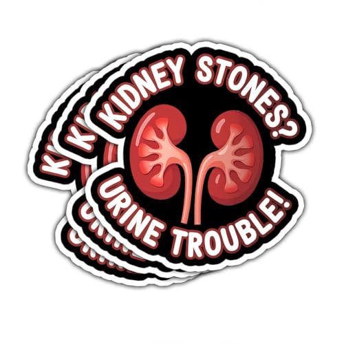 3pcs Kidney Stones Urine Trouble Sticker, Funny Medical Pun Vinyl