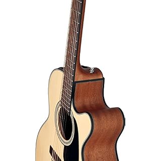 Guitare Takamine Mini Auditorium CUTAWAY Electro + Housse - Les Beatles, Paul McCartney, John Lennon, RIngo Starr, George Harrison Guitare Takamine Mini Auditorium CUTAWAY Electro + Housse – Image 7