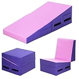 Gymnastics Tumbling Mat with Handle Non-Slip Cheese Wedge Mat Ideal for Yoga, Pilates,Martial Arts Suitable for Gym,Fitness Studio,Home Use-Pink
