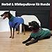 Katzinst Rollkragen Hundepullover - Pullover Hunde mit Leinenloch | Leicht und Warm Hundepulli für Große Hunde, Ärmelloser Winter Hundekleidung, Grün, 3XL