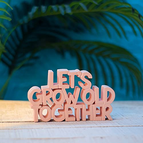 Image of NUKKAD TALES Lets Grow Old Together Peach Showpiece Home Decor Items for Bedroom Birthday Gift Items for Couples (8 x 4.50 inch), Recycled Material /MDF