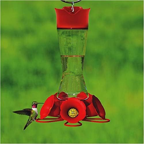 Perky-Pet Favoured Pinch-Waist Glass Hummingbird Feeder - 16 oz