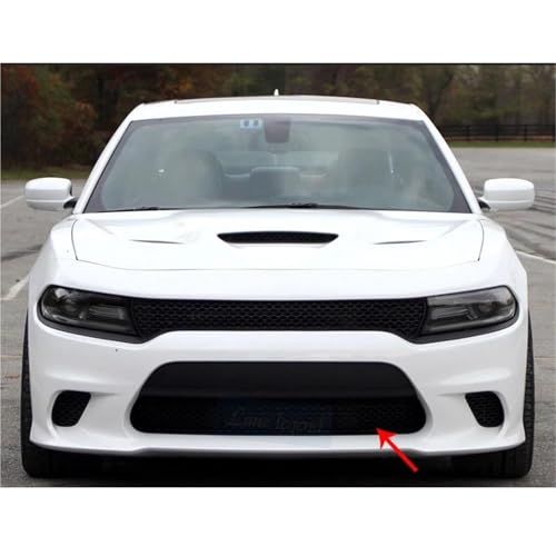 Pare-choc d'admission protégé avec la grille de calandre avant Dodge Charger 15-18 - 3