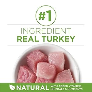 Purina ONE Natural Indoor Dry Cat Food, +Plus Indoor Advantage — photo 3 of 6