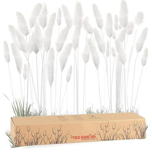 Image of TIED RIBBONS Set of 50 Pcs Natural Dried Bunny Tail Pampas Grass White Color Bunny Tail Pampas Boho Bouquet Artificial Flowers Decor for Table Vase Living Room Home Decoration (20 inch Length)
