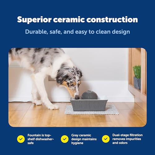 Image of PetSafe Drinkwell Ceramic Pet Water Fountain, Cats & Dogs, Quiet, 70 oz | Encourages Pets to Drink More, Replaceable Carbon Filter, Whisper-Quiet Submersible Pump, Dishwasher Safe