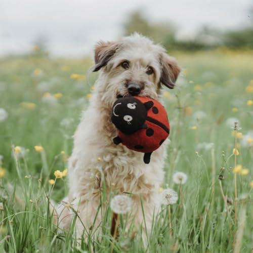 HUNTER Hundespielzeug Florenz Farbe Marienkäfer, Größe 20 cm