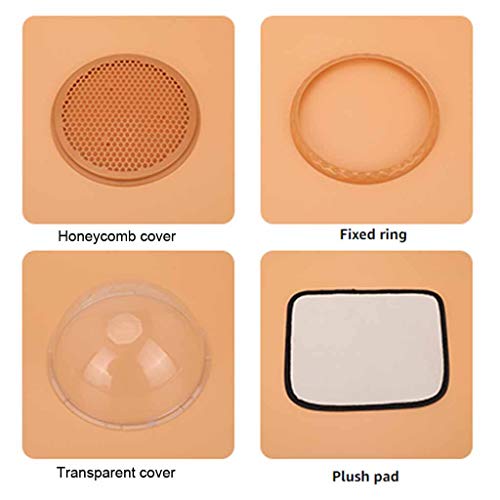 ZHINTE Pet Rugzak Kat Rugzak Dragers Pet Bubble Rugzak Dragers voor Katten Puppy Honden - Image 3